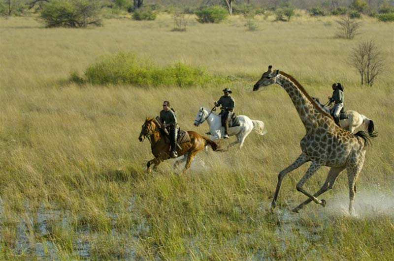 Okavango delta - Equestrian Holidays